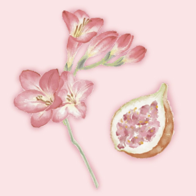 Fig & Freesia