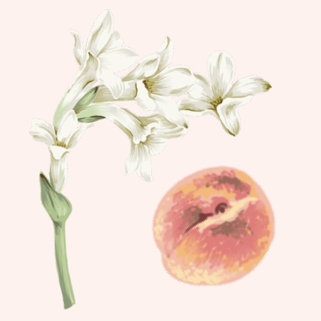 Peachy Tuberose