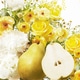 blooming pear