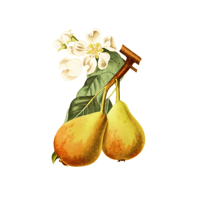 blooming pear