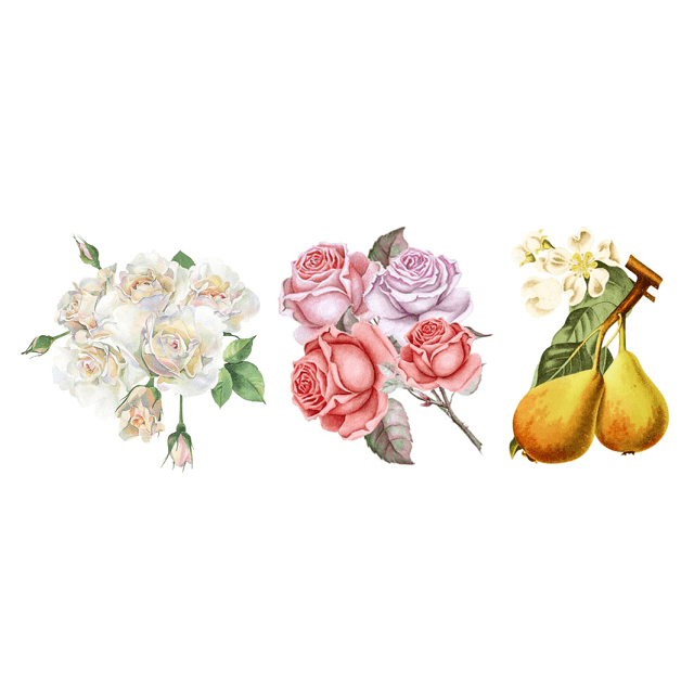 white floral/roses/blooming pear